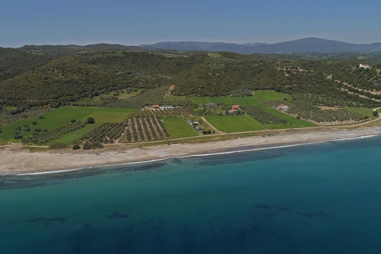 Casa Del Olivar Develíkia エクステリア 写真