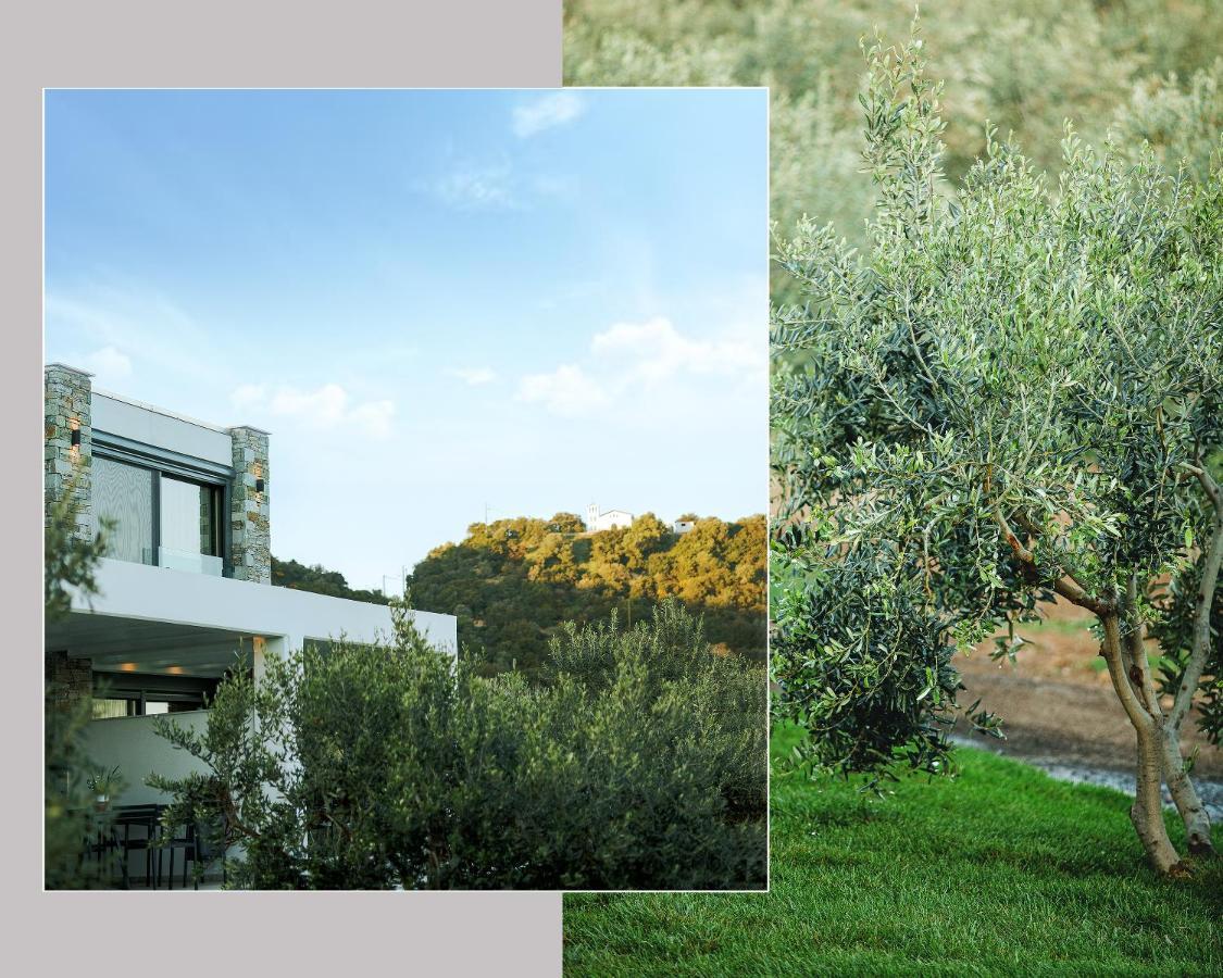 Casa Del Olivar Develíkia エクステリア 写真