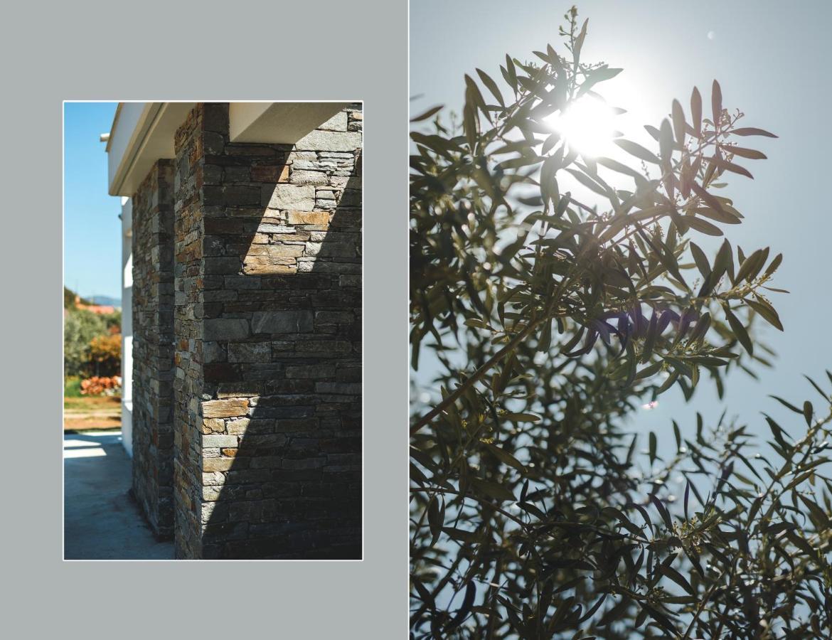 Casa Del Olivar Develíkia エクステリア 写真